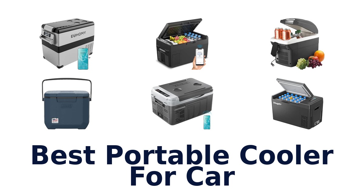 Best Portable Cooler For Car
