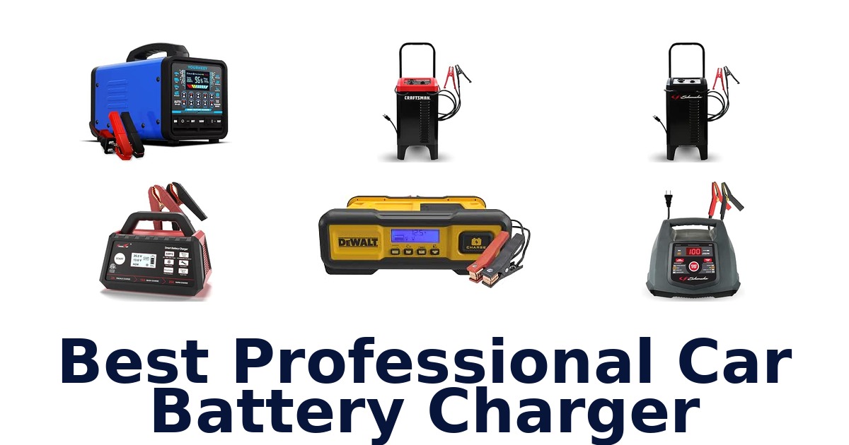 Best Professional Car Battery Charger