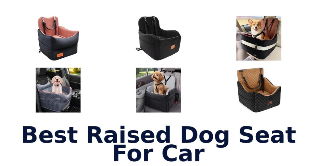 Best Raised Dog Seat For Car