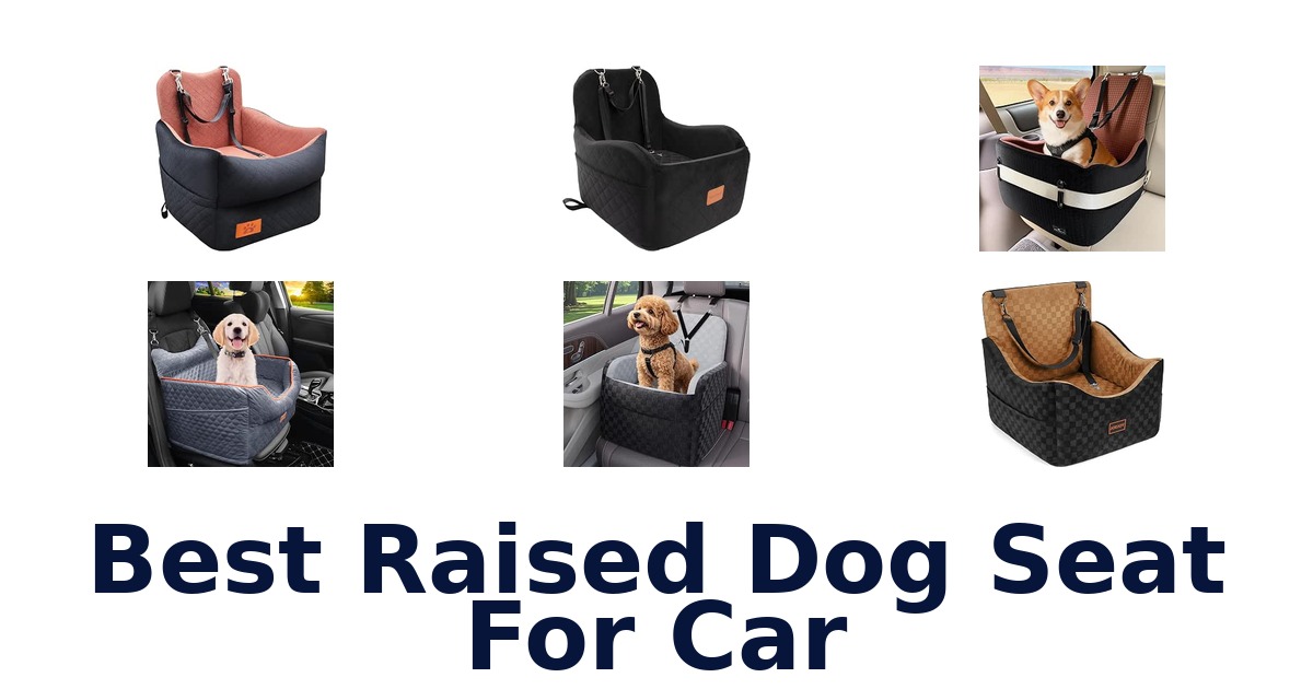 Best Raised Dog Seat For Car