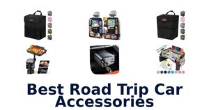 Best Road Trip Car Accessories
