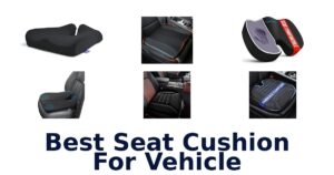 Best Seat Cushion For Vehicle