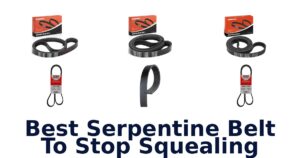 Best Serpentine Belt To Stop Squealing