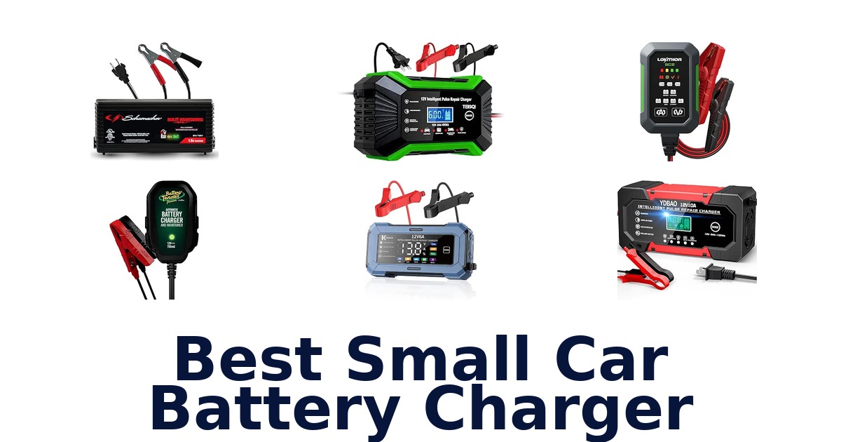 Best Small Car Battery Charger