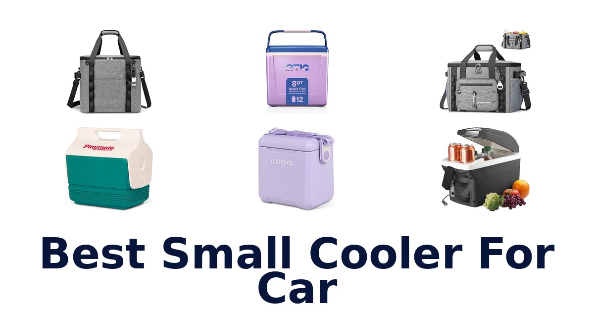 Best Small Cooler For Car