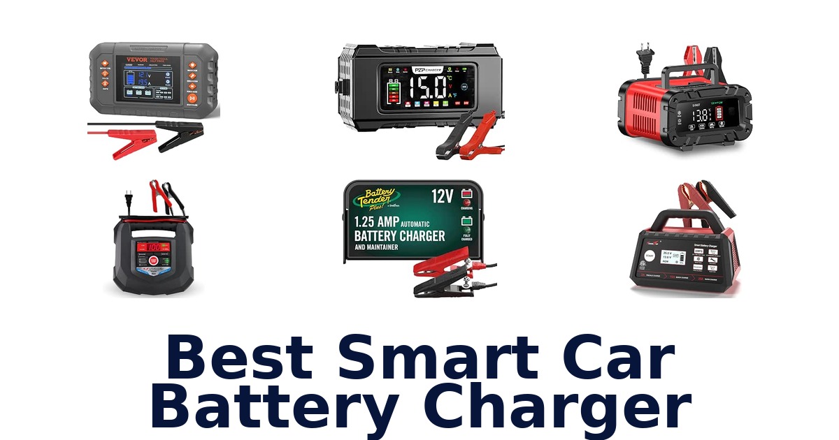 Best Smart Car Battery Charger