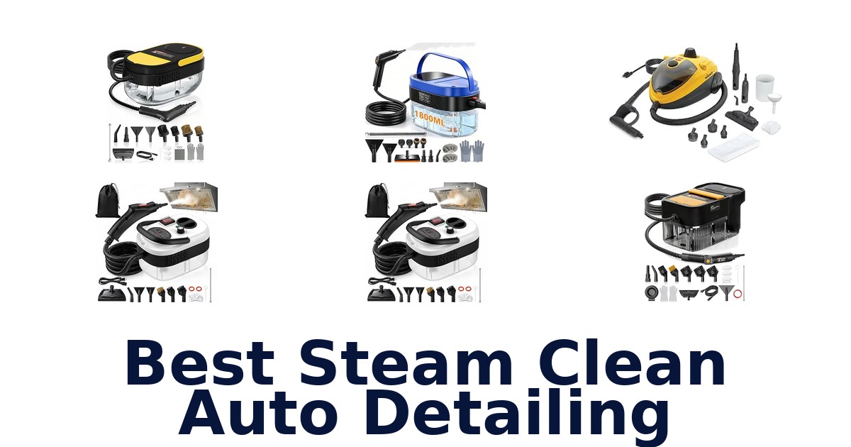 Best Steam Clean Auto Detailing