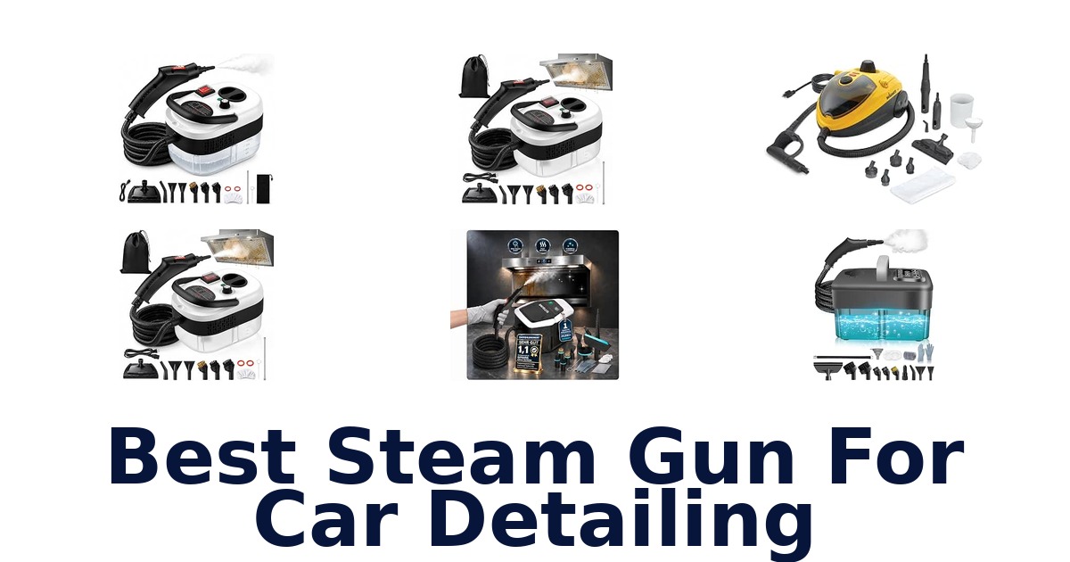Best Steam Gun For Car Detailing