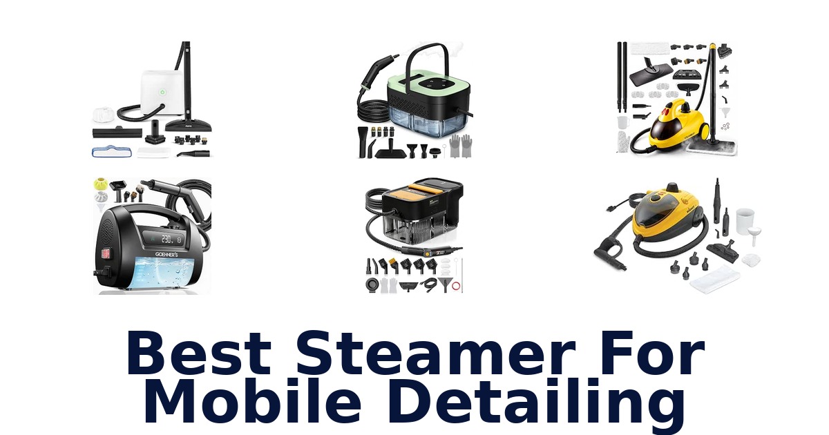 Best Steamer For Mobile Detailing