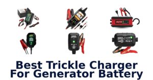 Best Trickle Charger For Generator Battery
