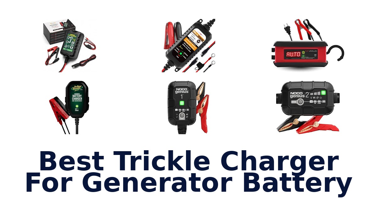 Best Trickle Charger For Generator Battery