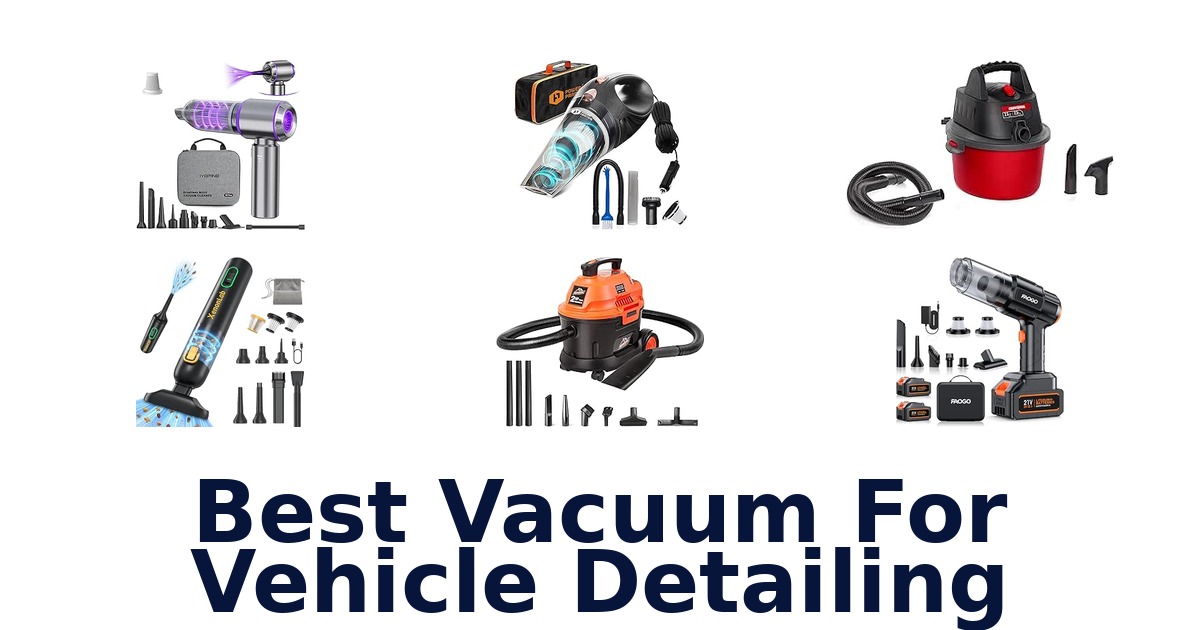 Best Vacuum For Vehicle Detailing