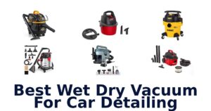 Best Wet Dry Vacuum For Car Detailing