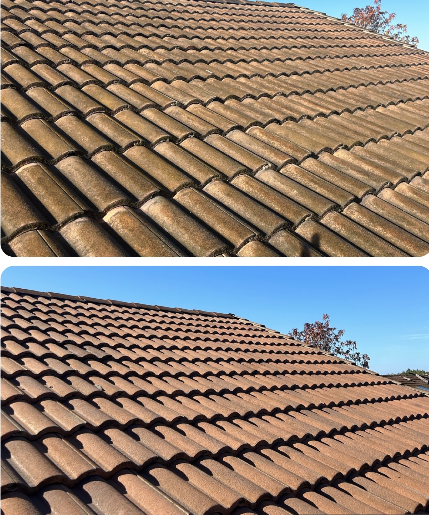 Before-and-after roof cleaning result