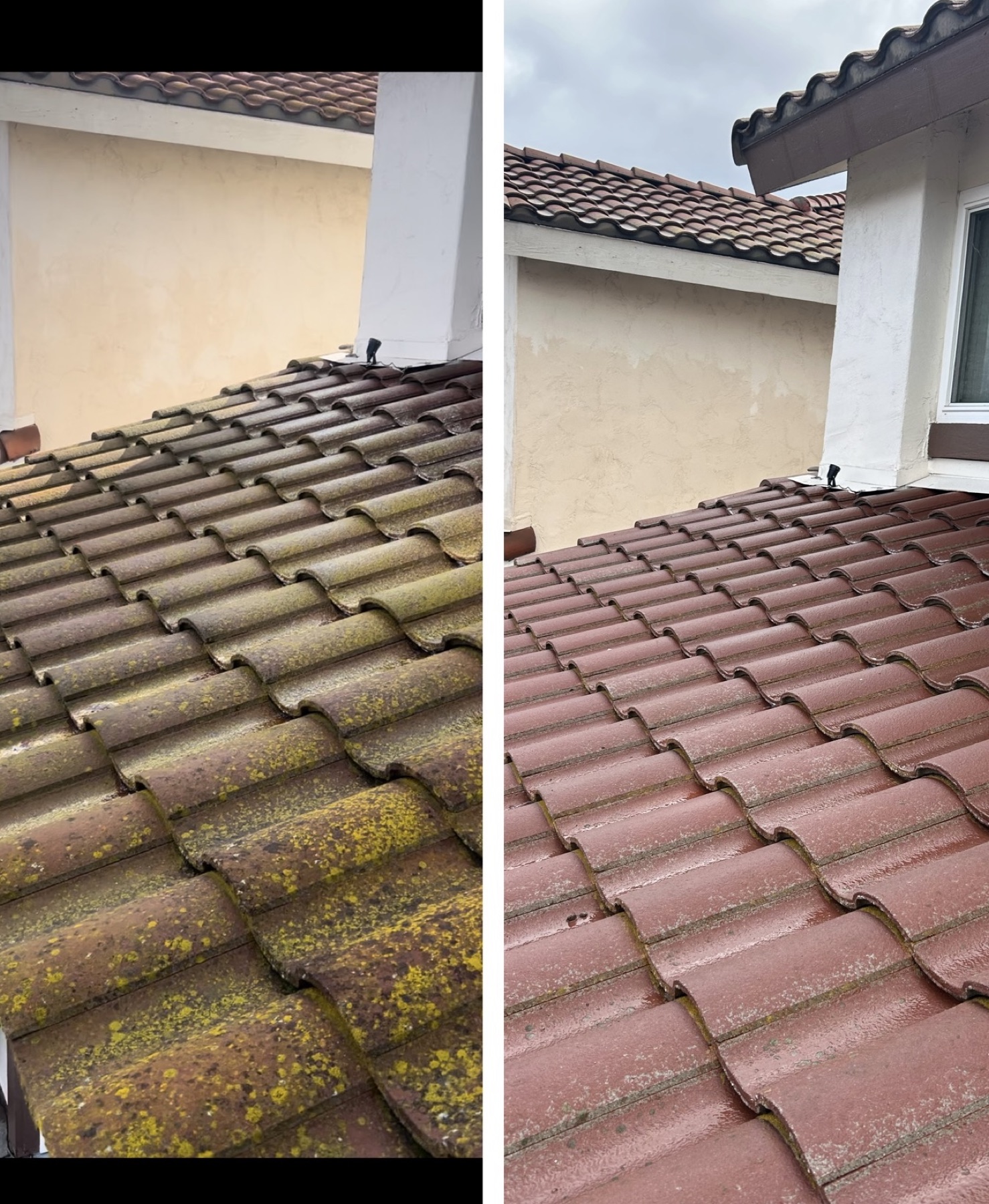 Before-and-after view of a soft-washed tile roof